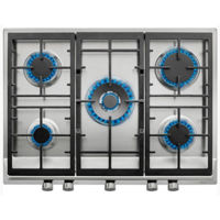 Встраиваемая поверхность газовая Teka EX 70.1 5G AI AL DR CI NTB