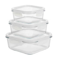 Контейнер для хранения пищи Borart 146520PF Set 3 containere patrate (520+800+1200)