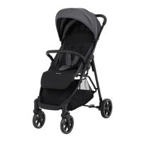 Сărucior pentru copii Kikka Boo 31001030180 Carucior de plimbare Alexa Dark Grey
