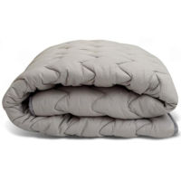 Домашний текстиль Almir Plapumă de Iarnă Subțire 200x220cm Gri