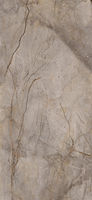 Wild Forest Grey Polished 120x260 cm
