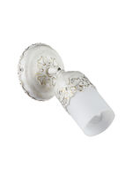 Spot ECO562-01-W