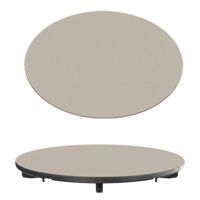 Аксессуар для кухонных моек Reginox R41444 Wasteplug cover plate Champagne