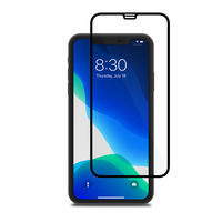 Защитное стекло Moshi iPhone 11/XR, IonGlass