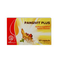cumpără Pangivit Plus caps. N30 în Chișinău
