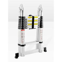 Лестница Technoworker Scara telescopica dubla 6x2 (DLT706B)