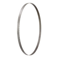 Аксессуар для пилы DeWalt DT8461-QZ pinza ferestrau DT8461-QZ