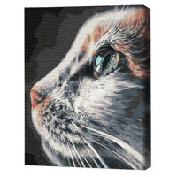 Картина по номерам BrushMe RBS51792FC 30x40cm (fără cutie) Profil de pisică