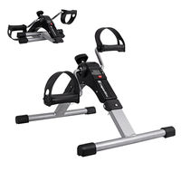 Bicicleta fitness mini inSPORTline Raryo 20220 (2751)