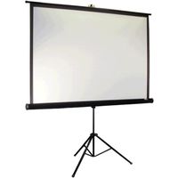 Экран для проекторов Elite Screens T119NWS1