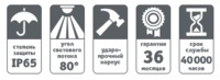 купить (a1) LED NFL-P-10-6.5K-IP65 в Кишинёве 