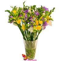 Buchet Mix din Fresia