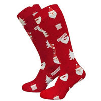 Одежда для спорта H.A.D. Go! Socks H0720 Santa
