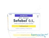 Sefabel® pulb.+solv./sol. inj. 0.5 g  N1+ 2 ml N1