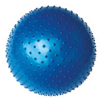 Надувной мяч Yate Gymball с массажной поверхностью, диаметр 65 см, M04115