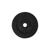 x Disc metal 5 kg, d=30 mm inSPORTline Top Sport 22349 (4295)