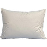 Домашний текстиль PernaMD 10035 Perna din pene 40x60