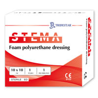 cumpără Pansament Stema Foam Polyurethane dressing 10x10cm N1 în Chișinău