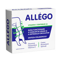 Allego comp.film N30 (+16ani) Fiterman