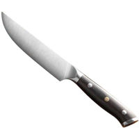 Cuțit Takumi Seikō Steak Knife (TK-B13S-NP)