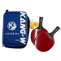 Теннисный инвентарь inSPORTline 12629 Ракетки для настольного тенниса 2+3 мяча с чехлом 2410-1926