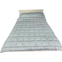 Домашний текстиль PernaMD 10061 Plapuma din lîna Satin 200x220 Iarna