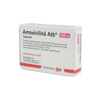 cumpără Amoxicillin 250mg caps. N10x2 în Chișinău