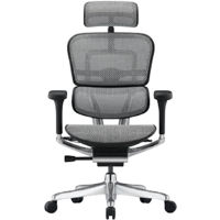Офисное кресло ART Ergohuman Elite 2 BL Natural T-168-B2 EHE2-AB-HAM-5D-L