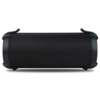 Колонка портативная Bluetooth NGS ROLLER TEMPO Black