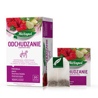 Чай Herbapol Slimming FemiAge, 20 шт