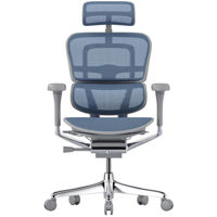Офисное кресло ART Ergohuman Elite 2 Cobalt T-168-B4 EHE2-AG-HAM-5D-L
