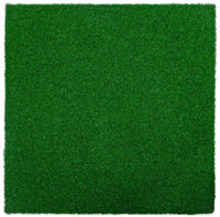 Спортивное оборудование inSPORTline 12760 Covor cauciuc Grasteko 50x50x2 cm IN27651