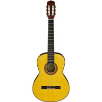 Chitară Aria A-30S N classic