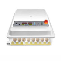 Инкубатор для яиц автоматический MS-64, 64 куриных, 52 утиных, 120 перепелиных яйца