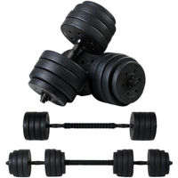 Гантель FunFit Dumbbell Set 2x20kg (4260)
