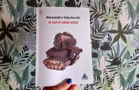 a cui e casa asta - Alexandru Vakulovski