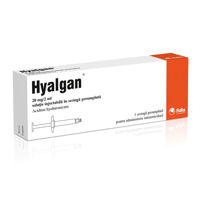 cumpără Hyalgan 20mg/2ml sol. inject N1 în Chișinău