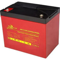 Зарядные устройства и аккумуляторы CS Battery HDC12-50