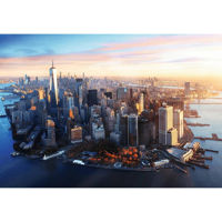 Головоломка Trefl R25K/40 (10828)  Premium Plus 1000 Manhattan New York