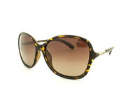 Polar Glare - PG 6610A