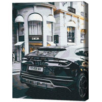 Tablou pe numere BrushMe BS52523FC 40х50cm (fără cutie) Viață luxoasă