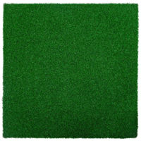 Спортивное оборудование inSPORTline 12760 Covor cauciuc Grasteko 50x50x2 cm IN27651