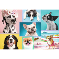 Головоломка Trefl R25F /47(R25K / 7/18) (26186) 1500 Cute Dogs