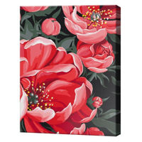 Tablou pe numere BrushMe BS54055 Pictura pe numere 40x50cm Eco Compozitie inflorita