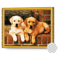 Картина по номерам Art Gallery GA75109 Mozaic cu diamante 40x50cm Frati aurii