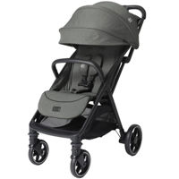 Сărucior pentru copii Joie S2311AAEVG000 Carucior ultracompact Signature Parcel LX Evergreen