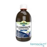 Glucozamina HCl 1200 mg+Chondroitina 400mg+Vit.C 20 mg 500ml Natures Aid