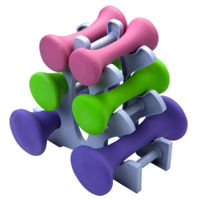 Гантель 4Play Home 10Kg, set