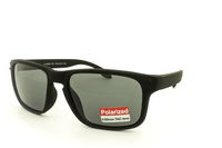 Polarized - JK 442P