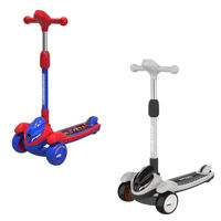 Trotinetă miscellaneous 2610017-6P Scooter pliabil, înălțime reglabilă și lumini (2 culori)